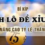 Cách Đánh Đề Xỉu Chủ Tại Nhà Cái Fb88: Hướng Dẫn Chi Tiết